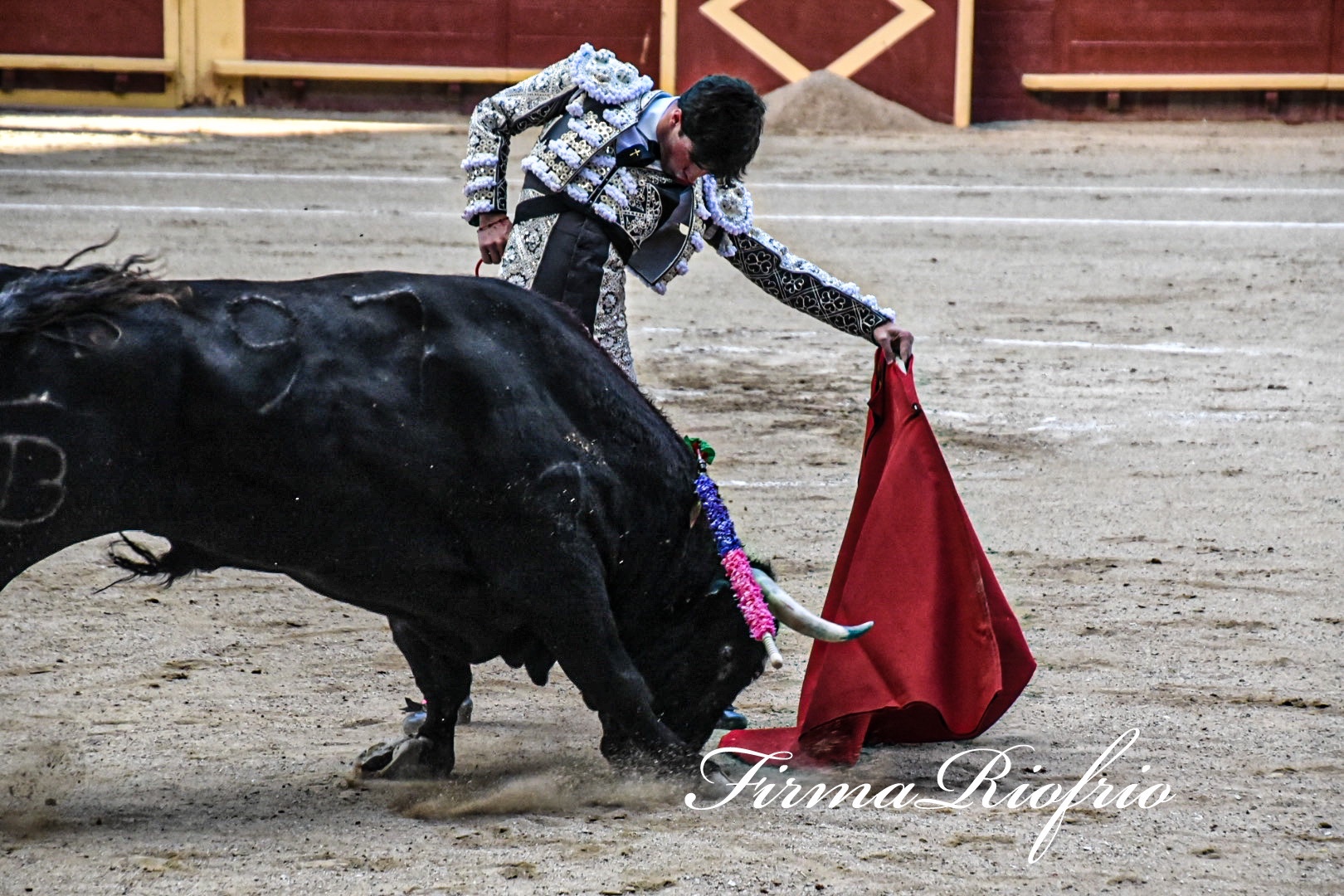 Imagen 9