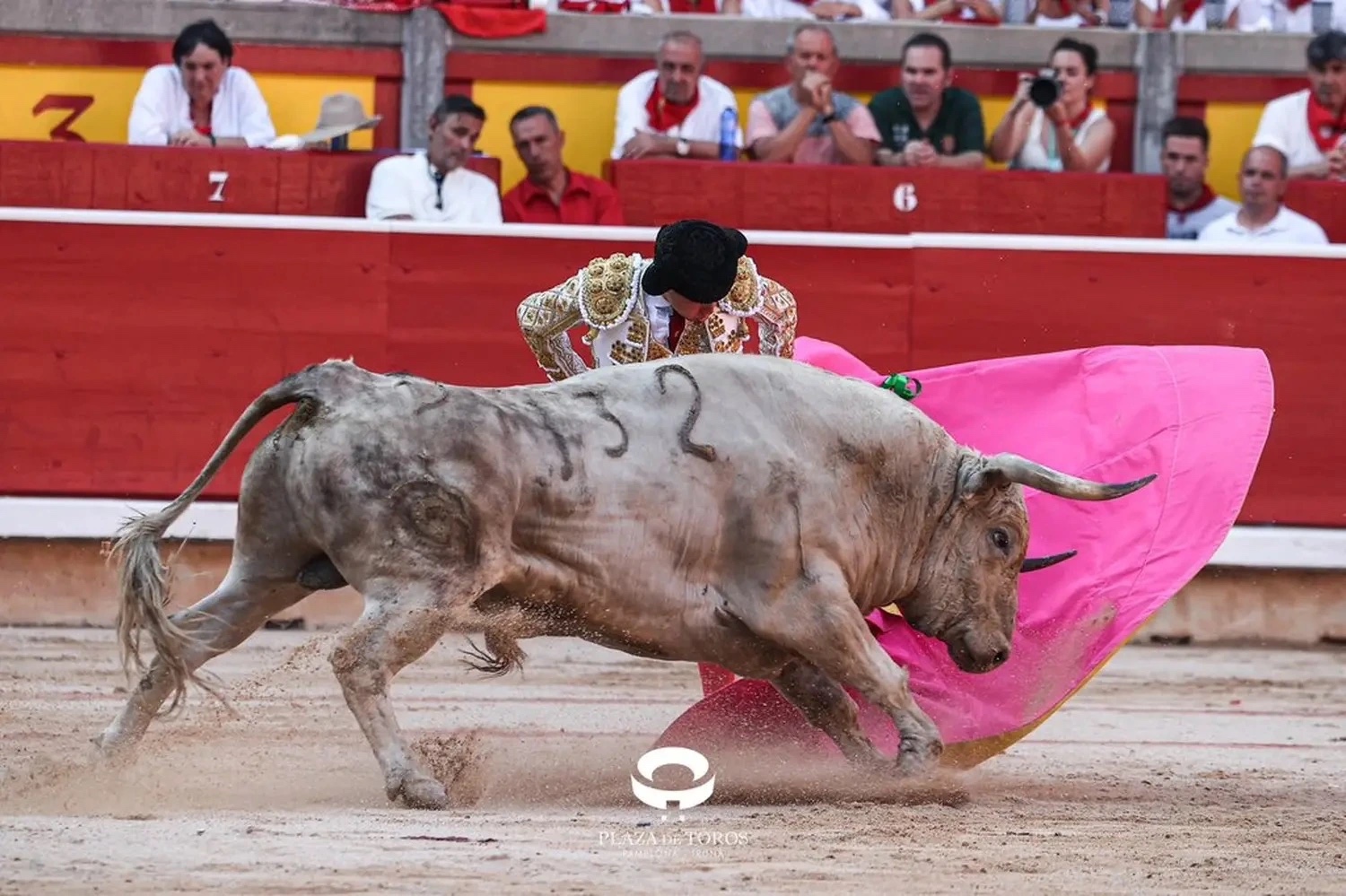 Imagen 2