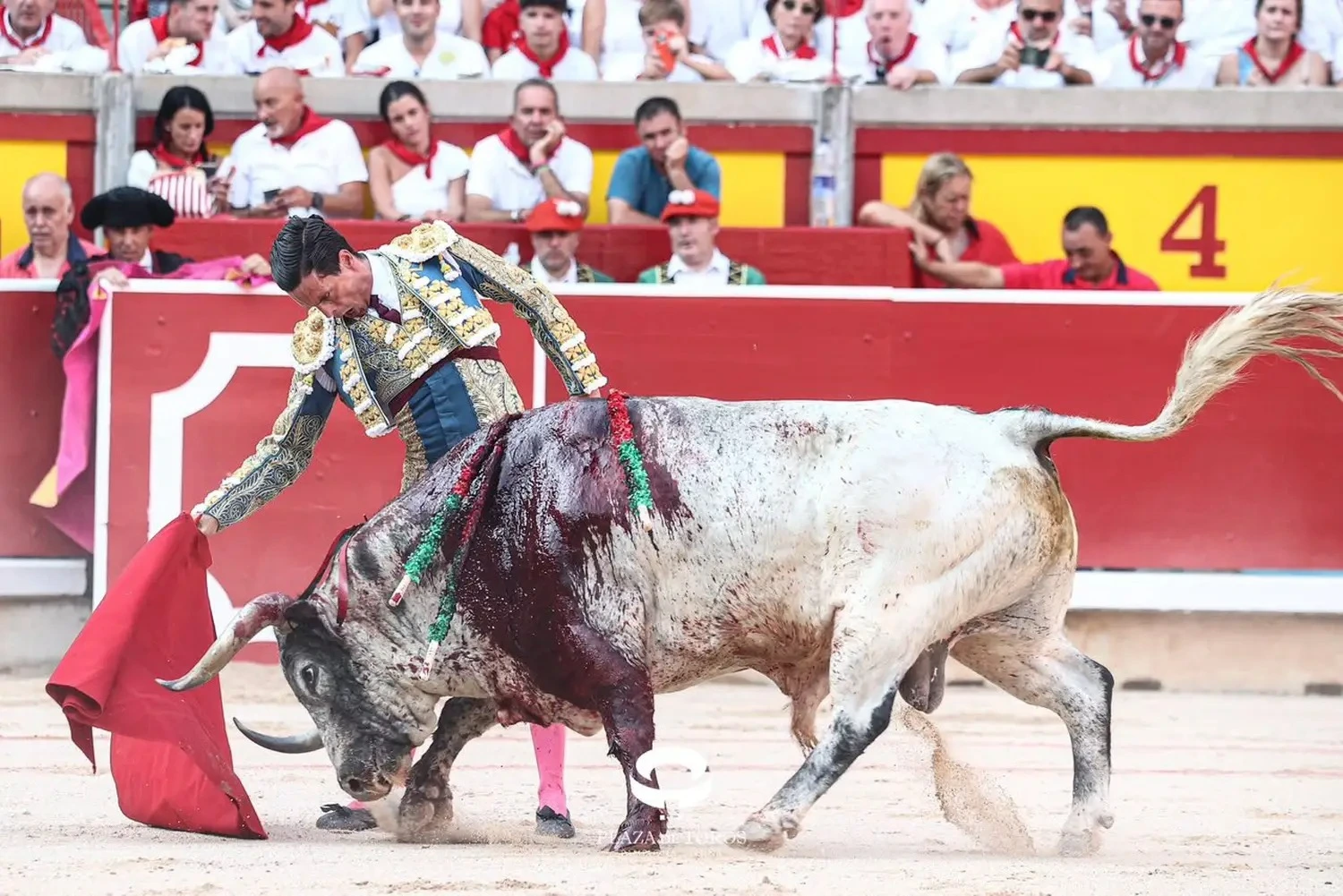 Imagen 1