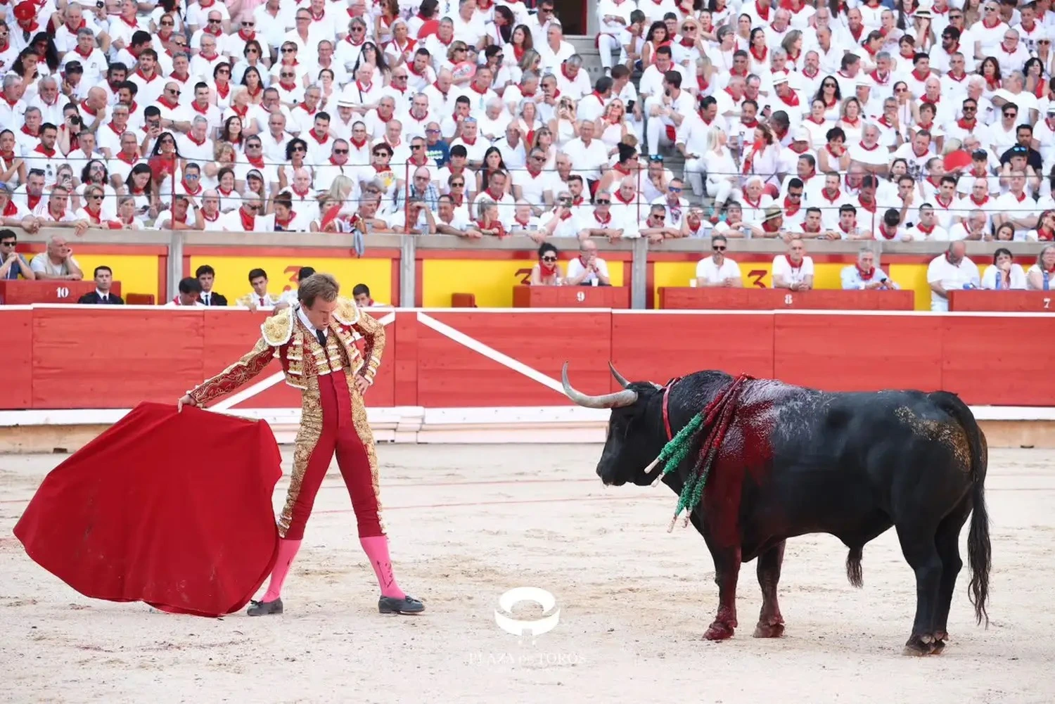 Imagen 5