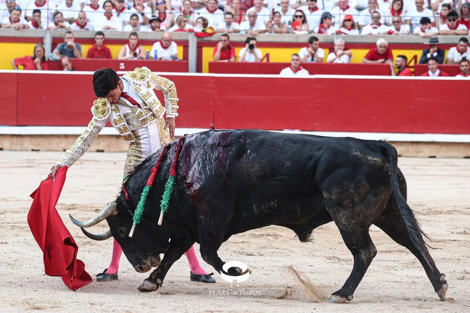 Imagen 1