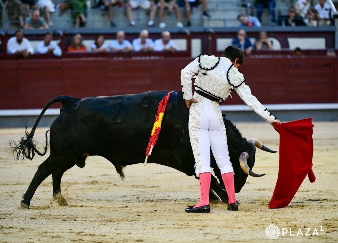 Imagen 2
