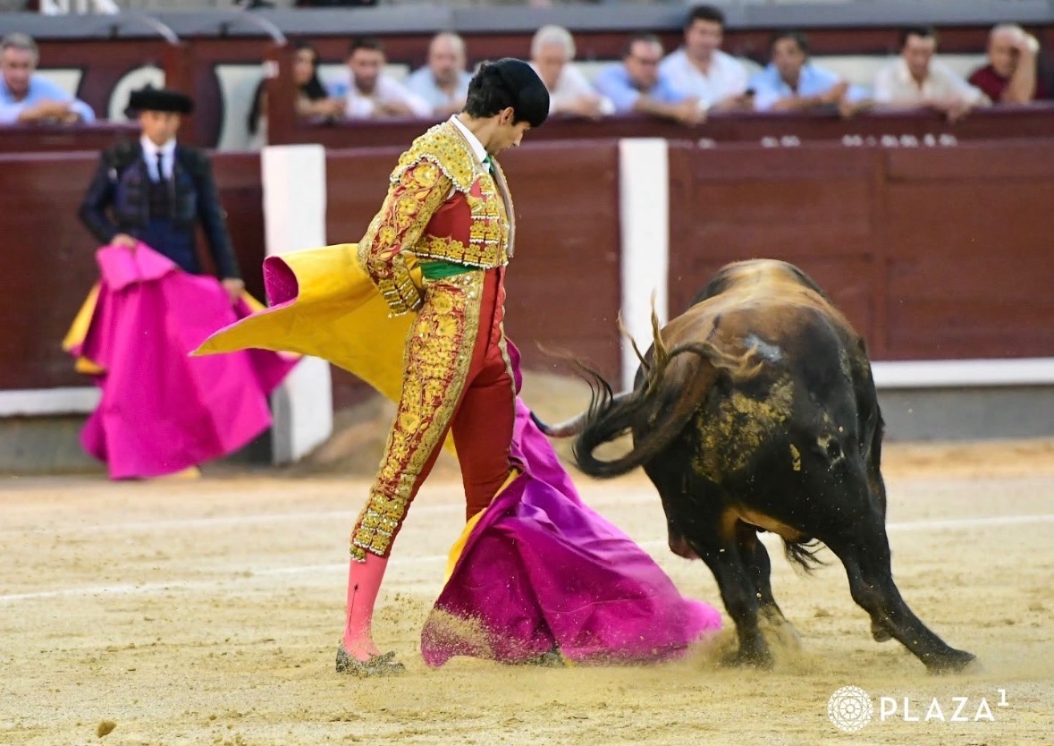 Imagen 3