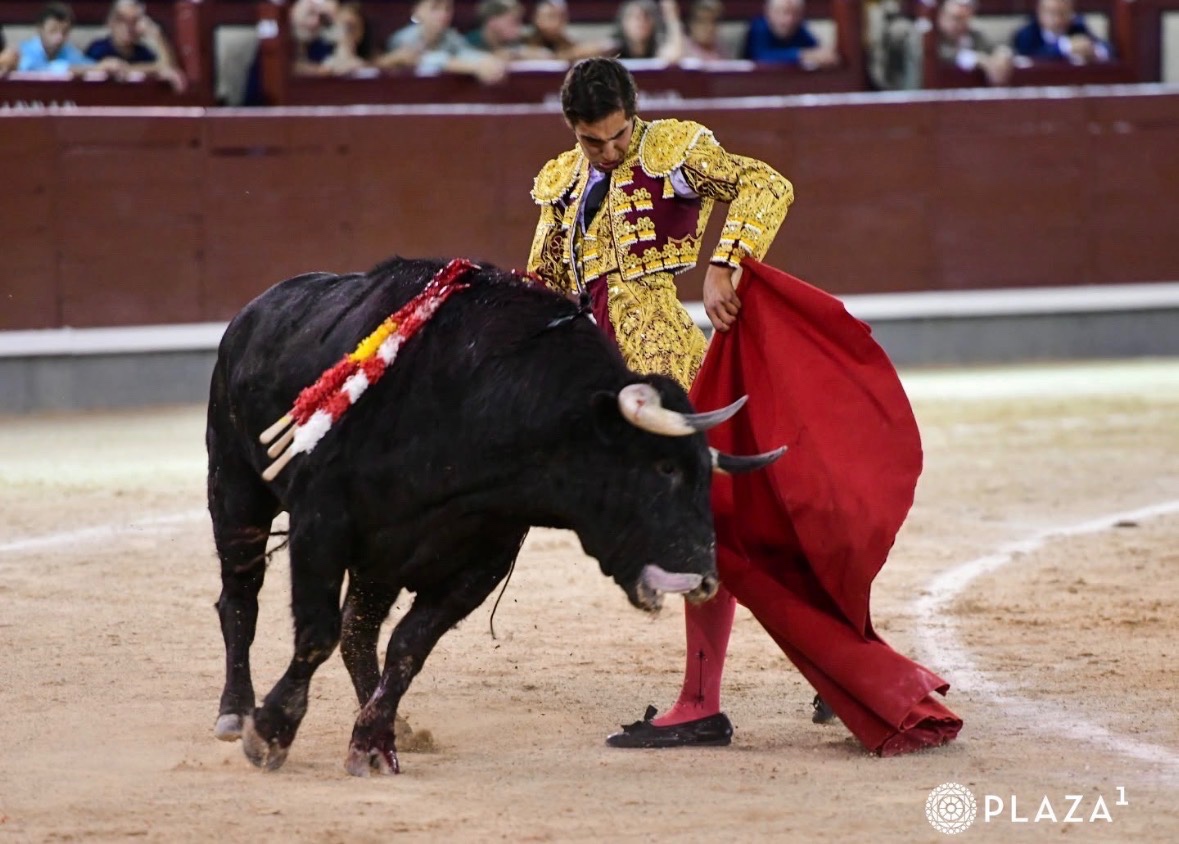 Imagen 4