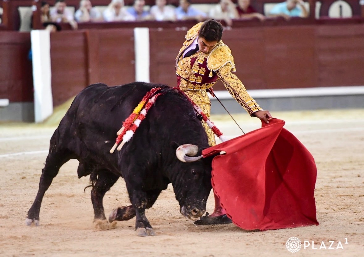 Imagen 5