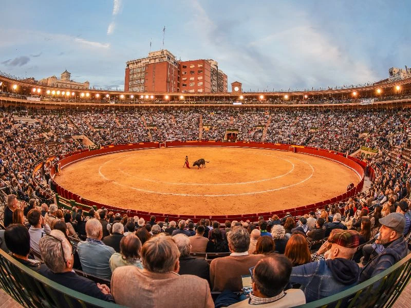 David de Miranda y Román destacan en Valencia en la Feria de Fallas
