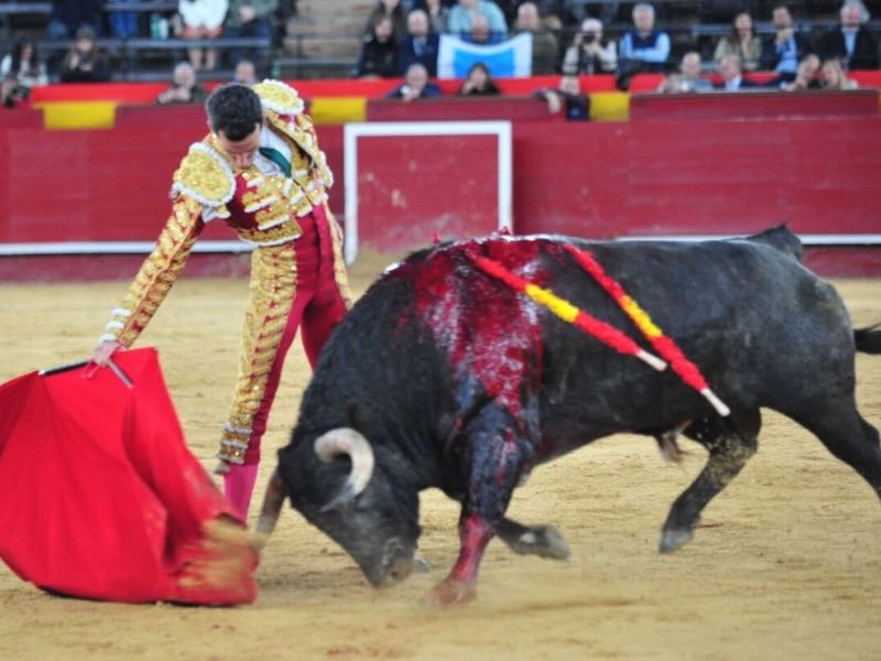 Imagen 1