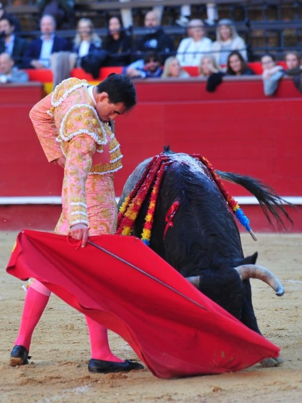 Imagen 2