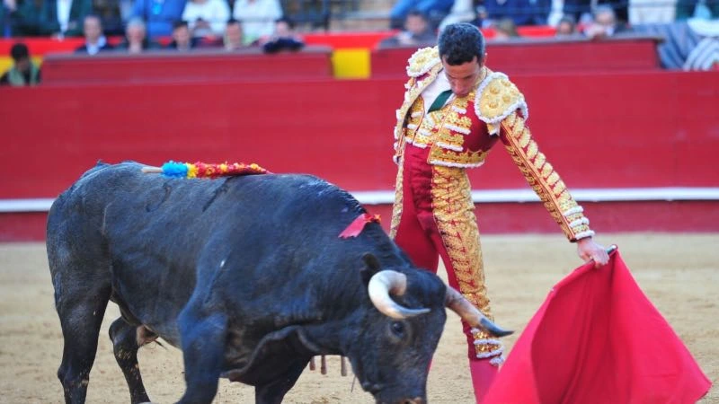 Imagen 3