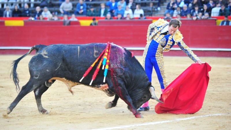 Imagen 4