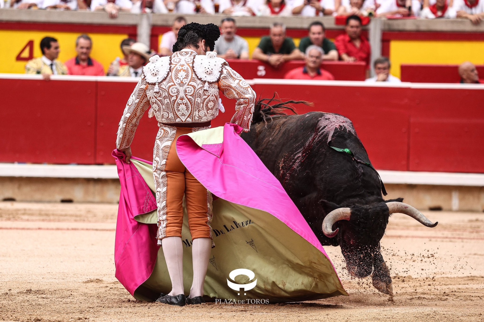 Imagen 2