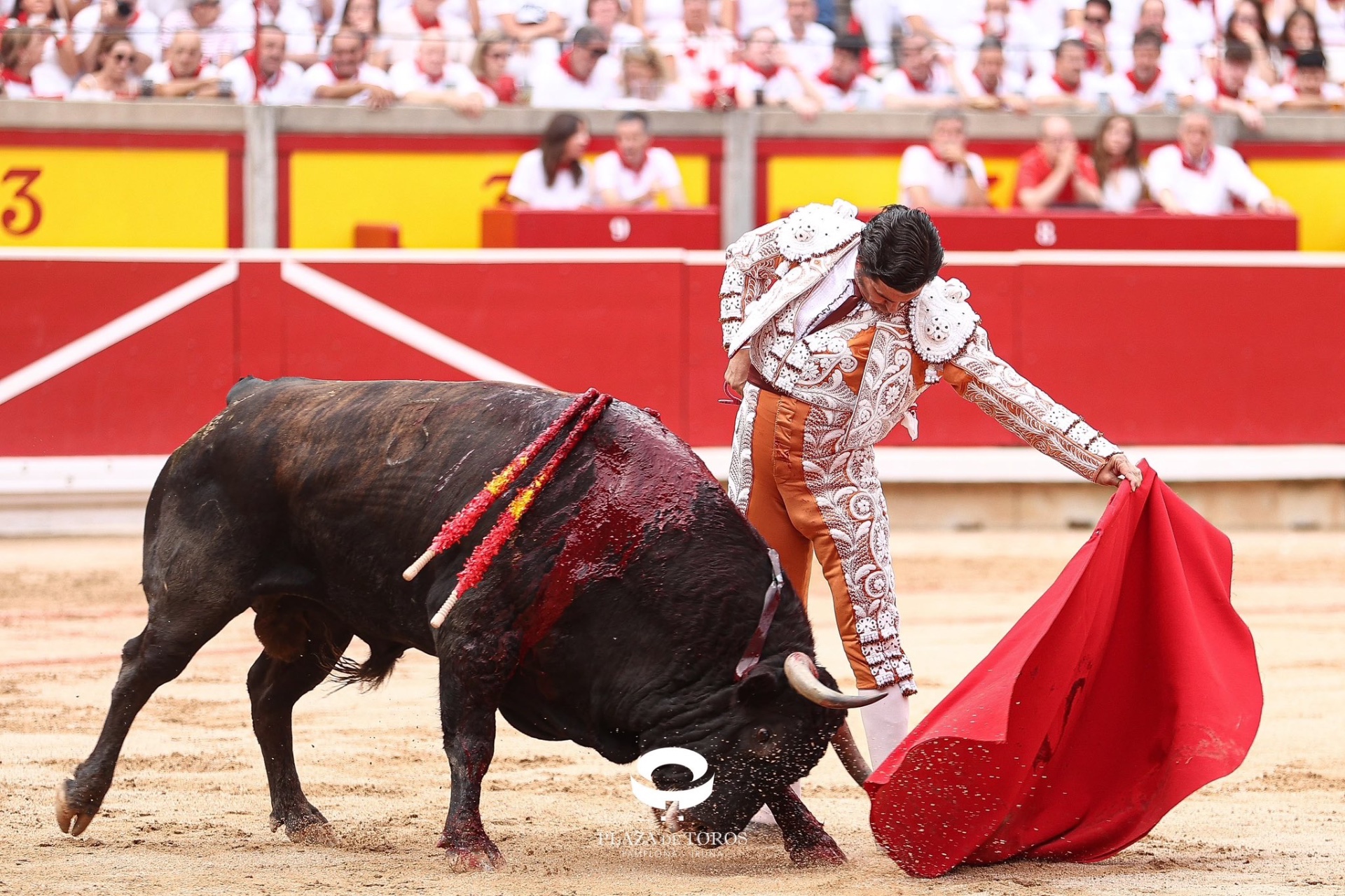 Imagen 5