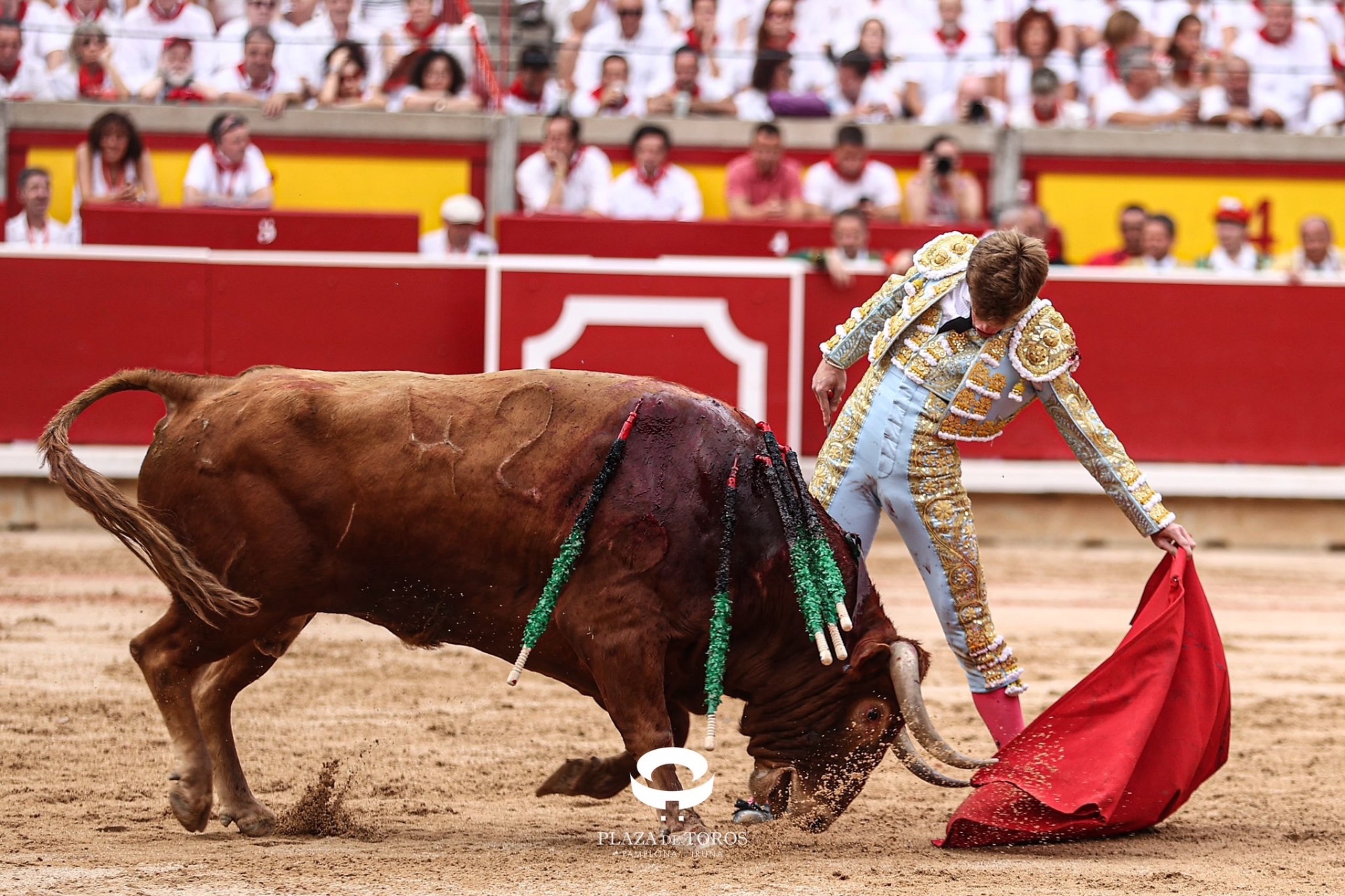 Imagen 6
