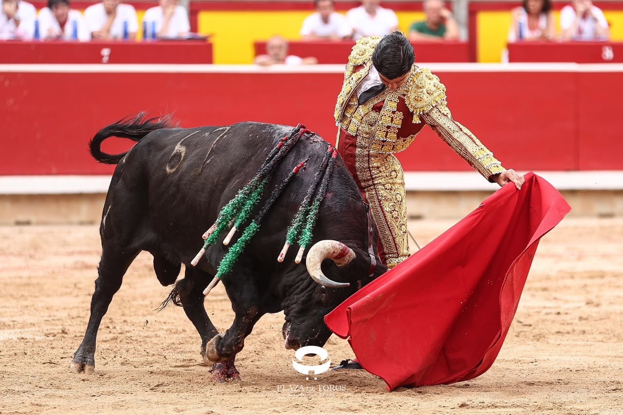 Imagen 8