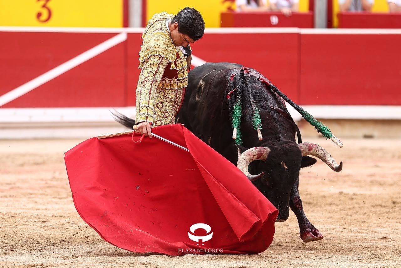 Imagen 10