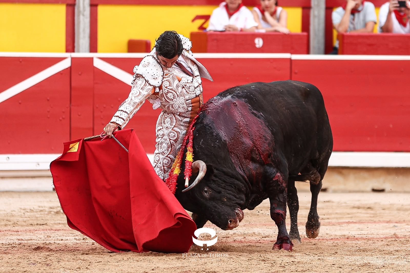 Imagen 11
