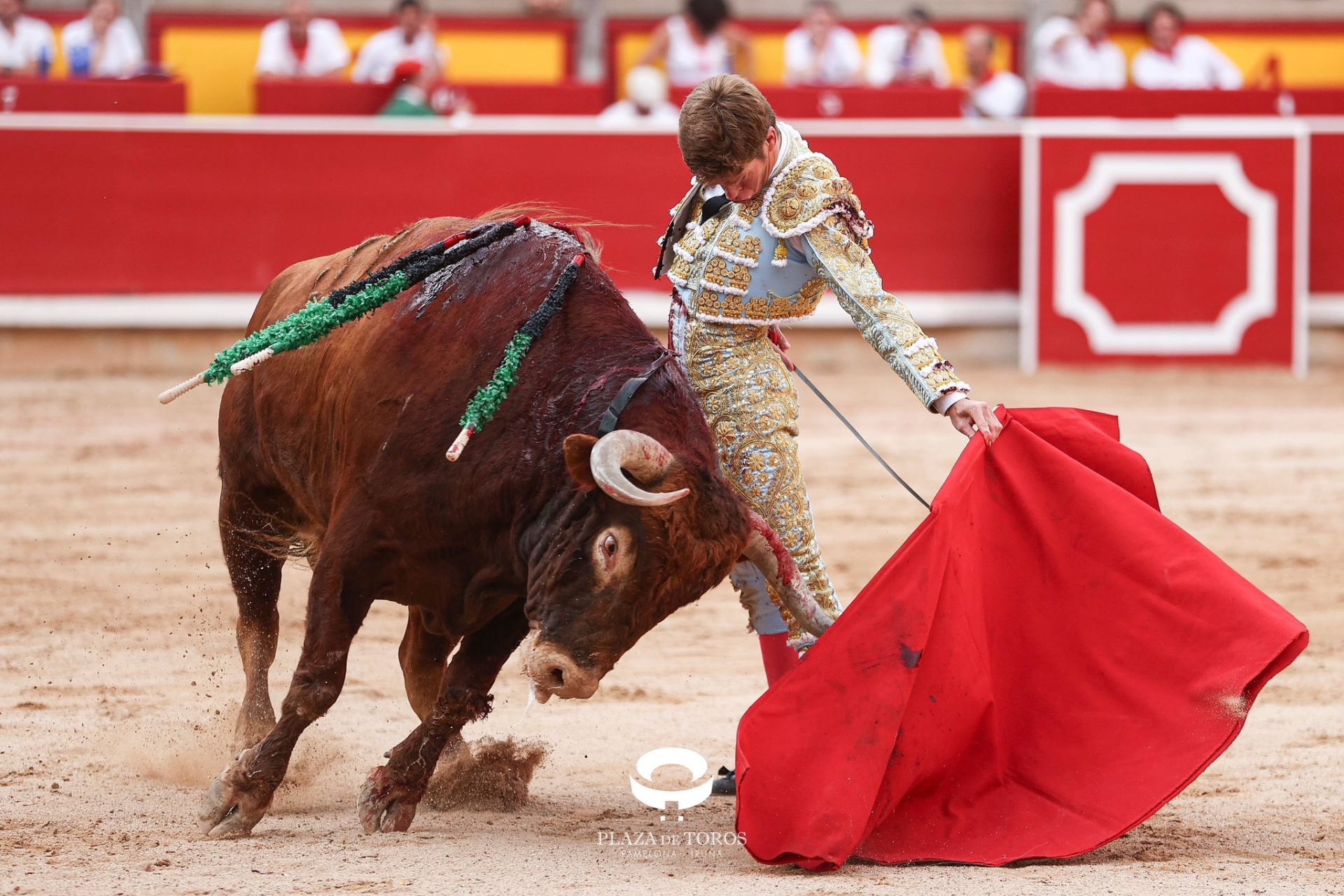 Imagen 13