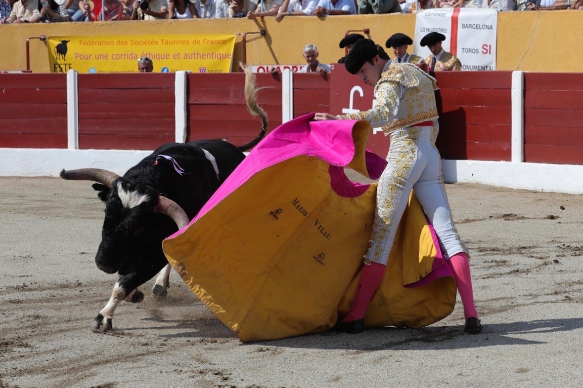 Imagen 2