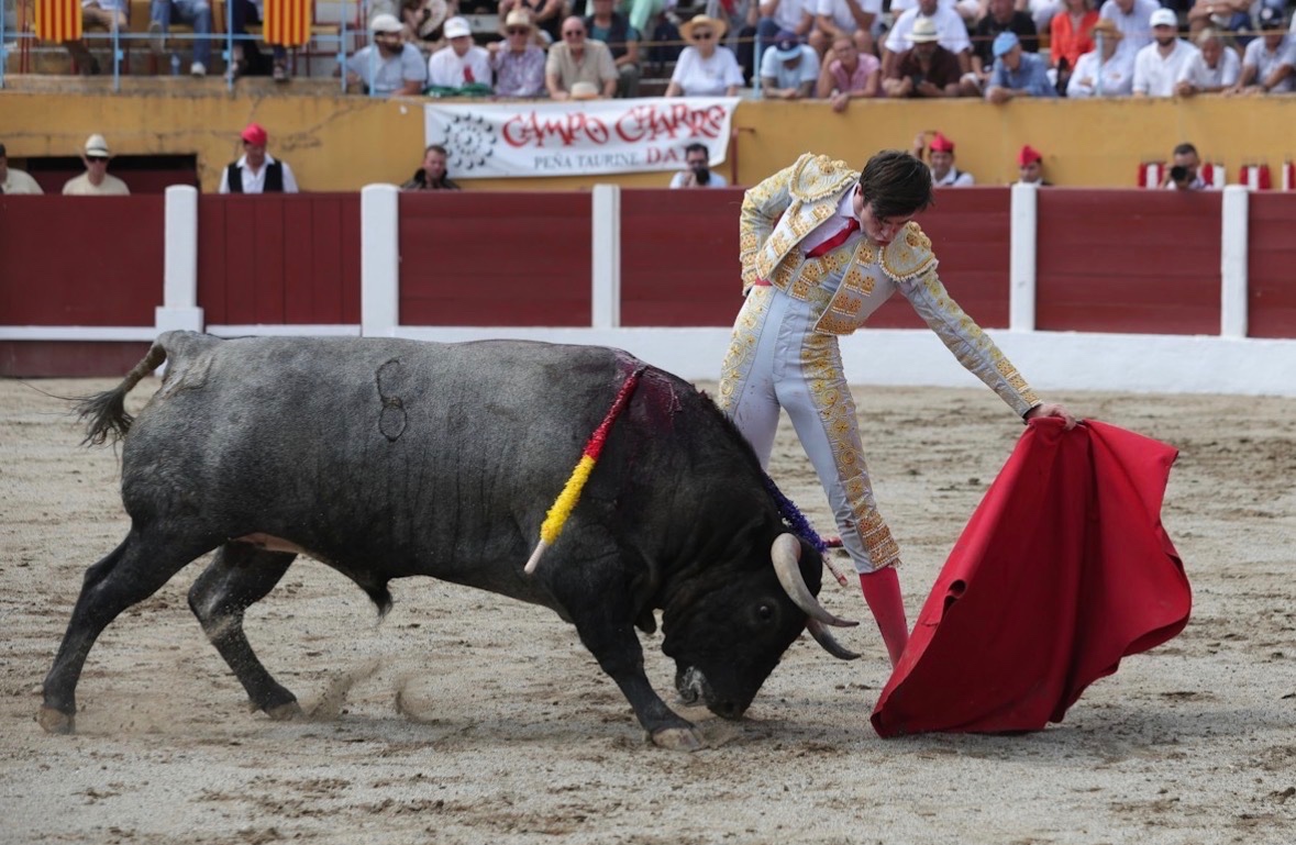 Imagen 4