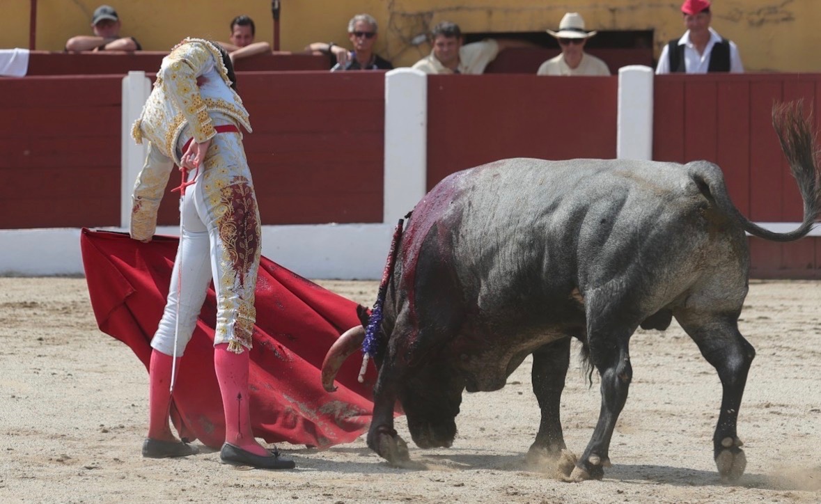 Imagen 5