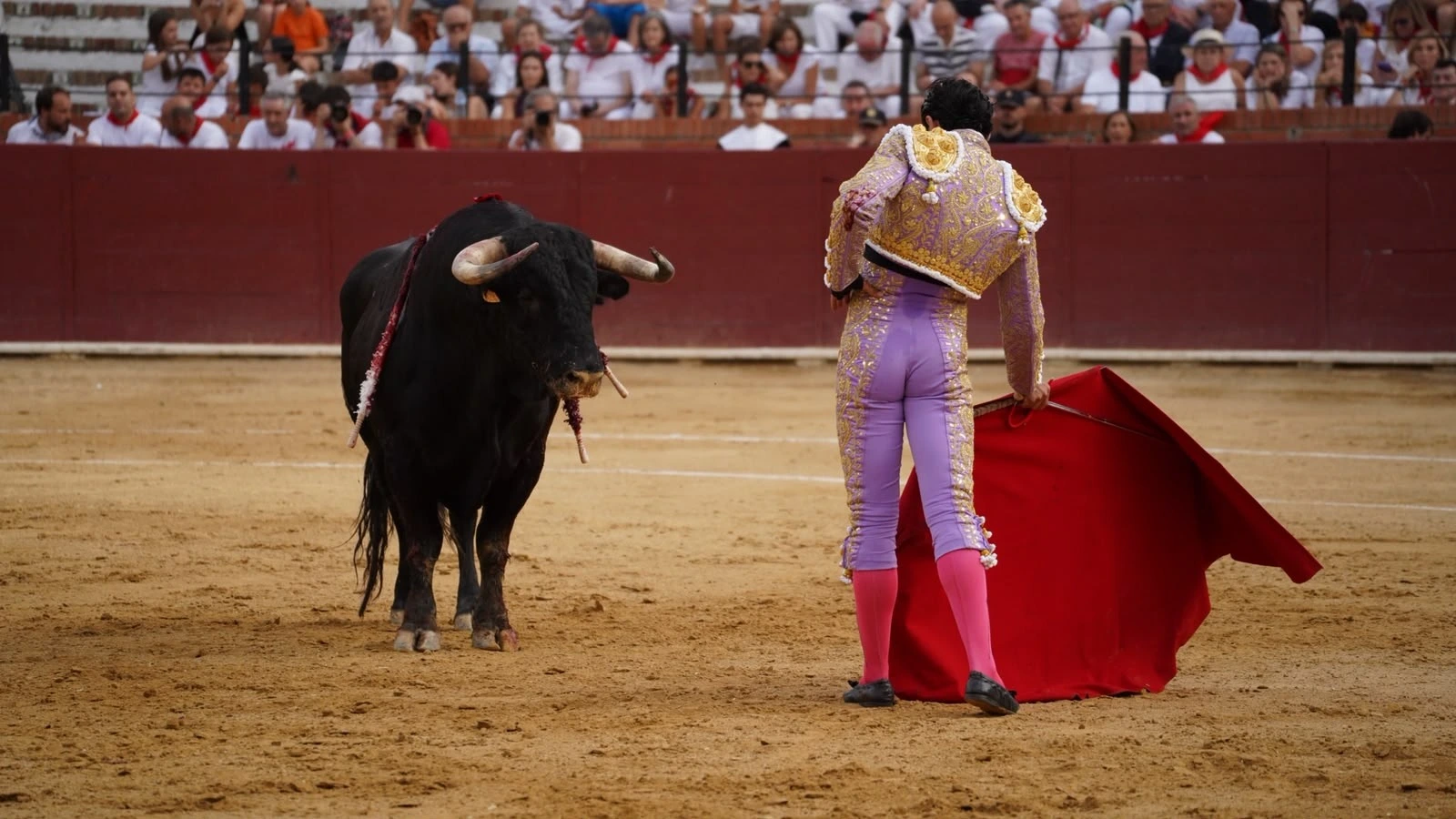 Imagen 2