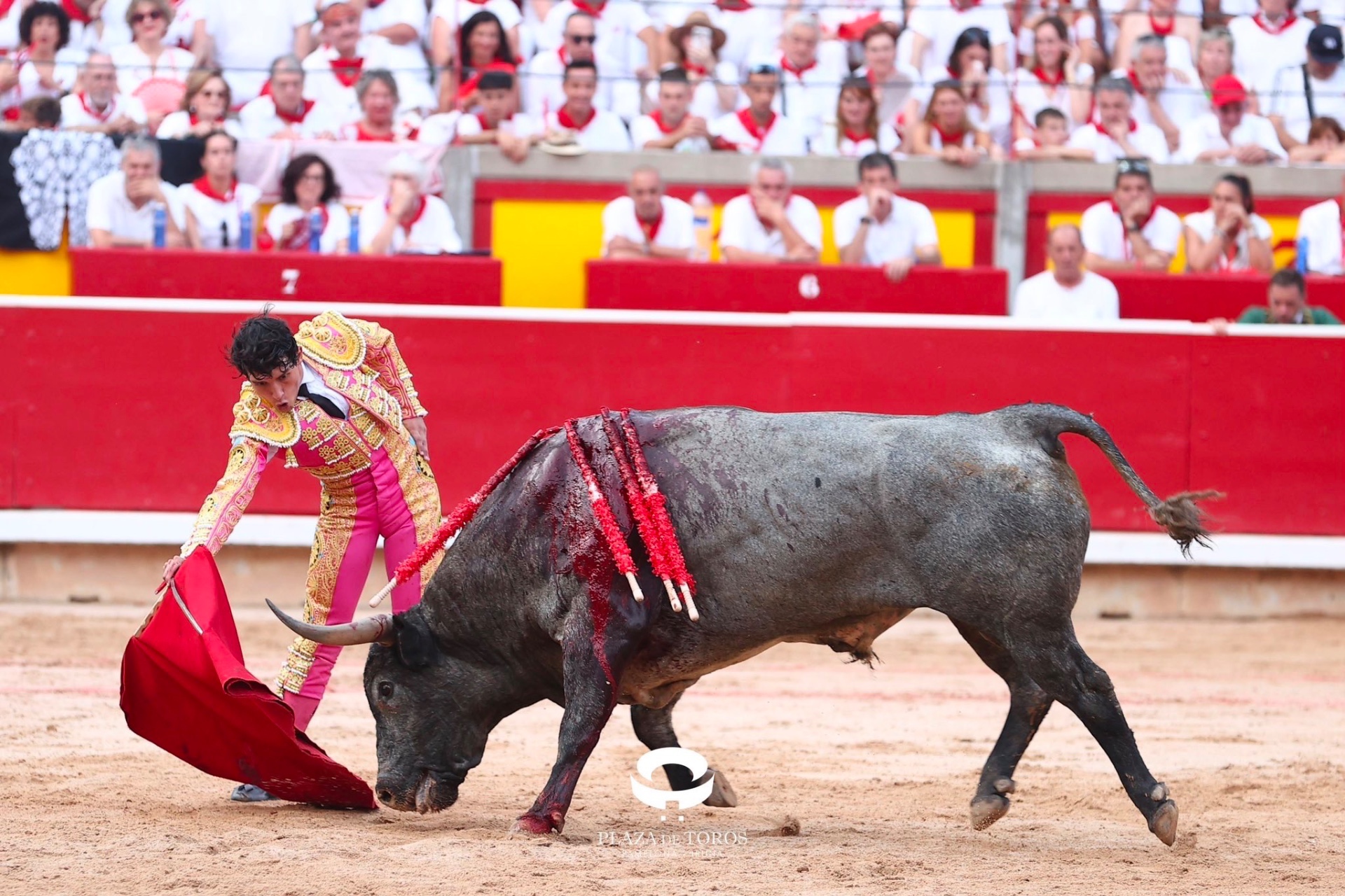 Imagen 2