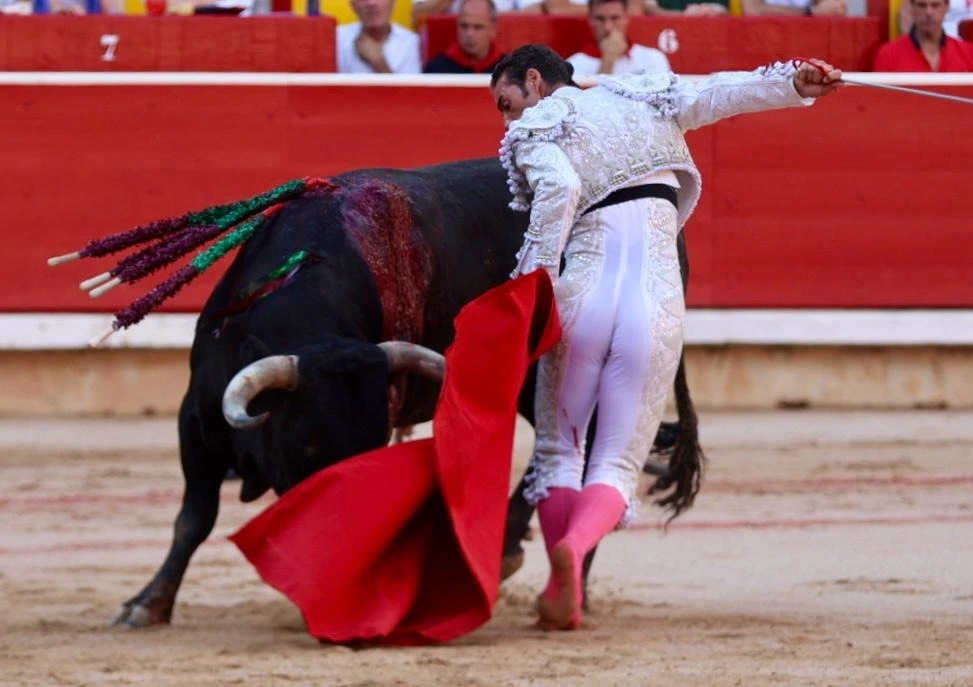 Imagen 6