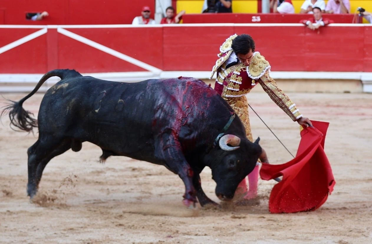 Imagen 11