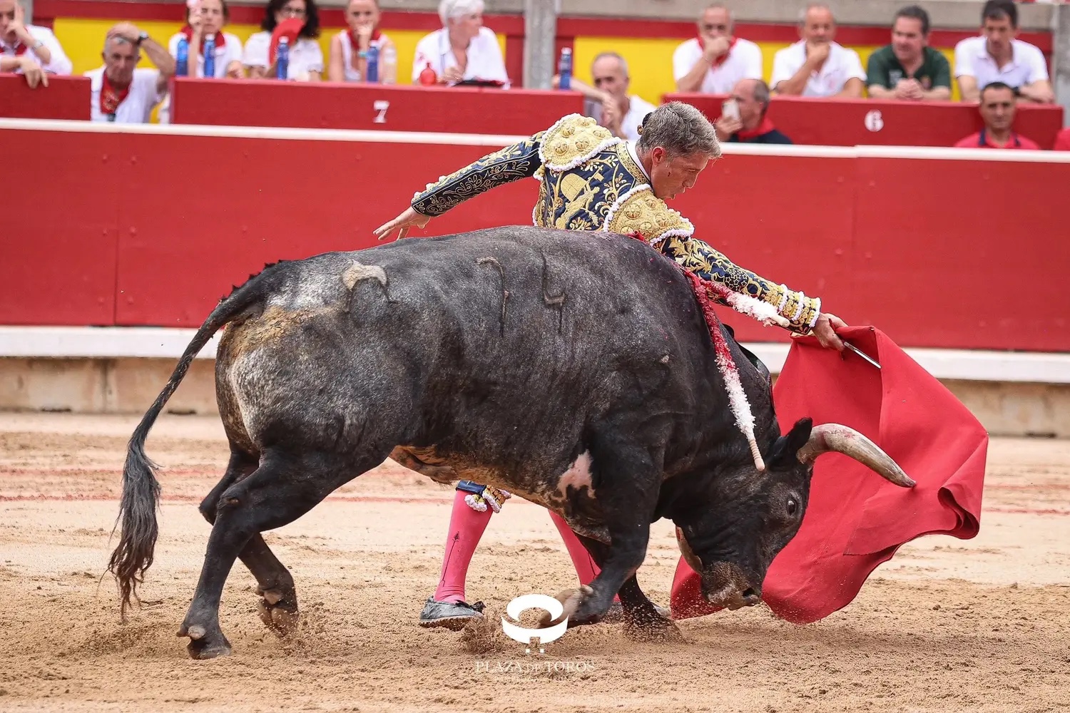 Imagen 2