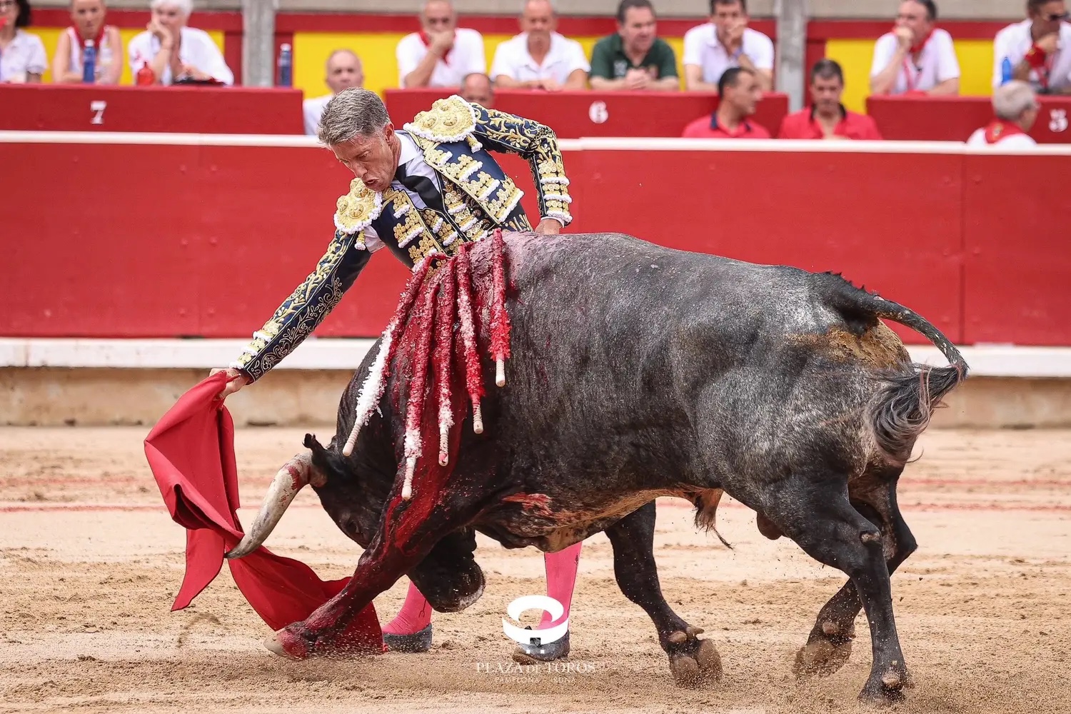 Imagen 3