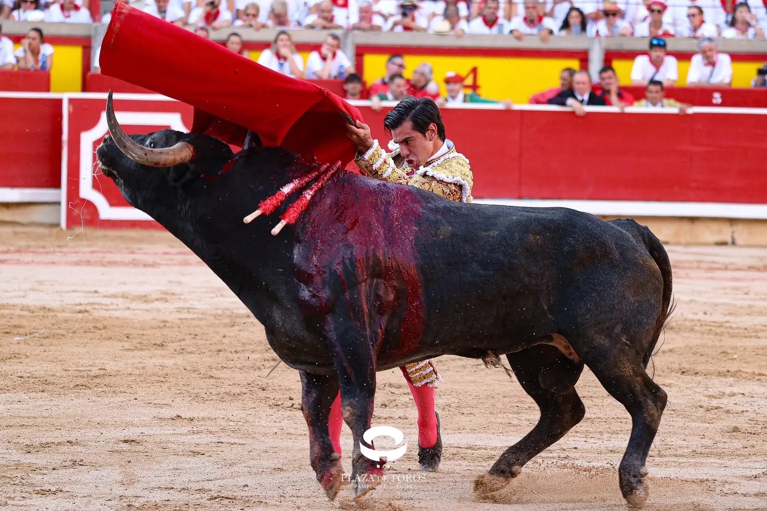 Imagen 1