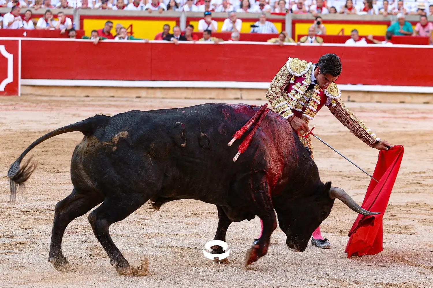 Imagen 2