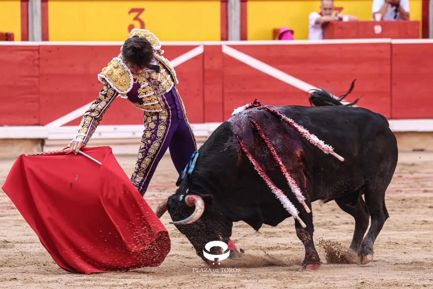 Imagen 5