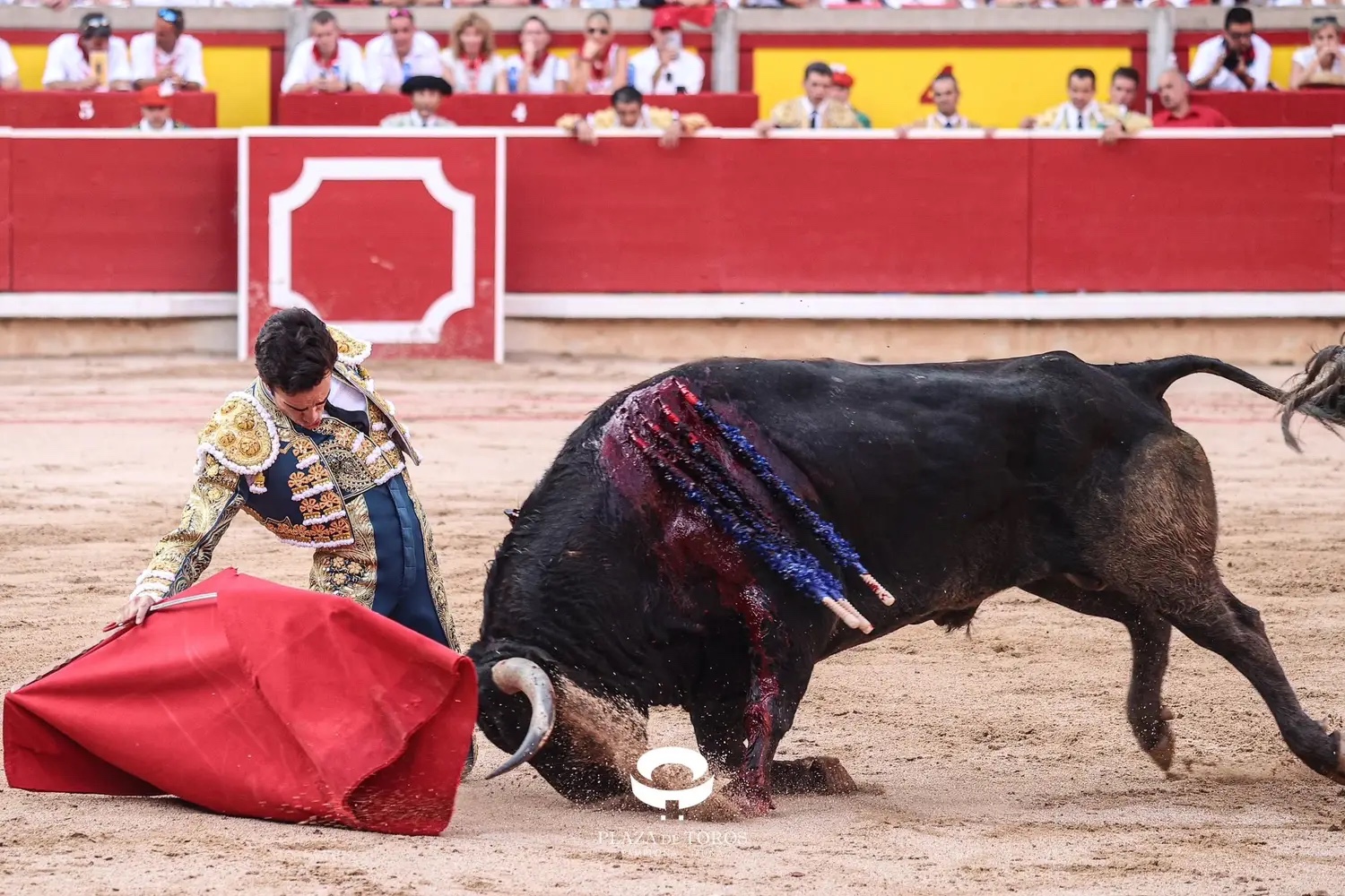 Imagen 7