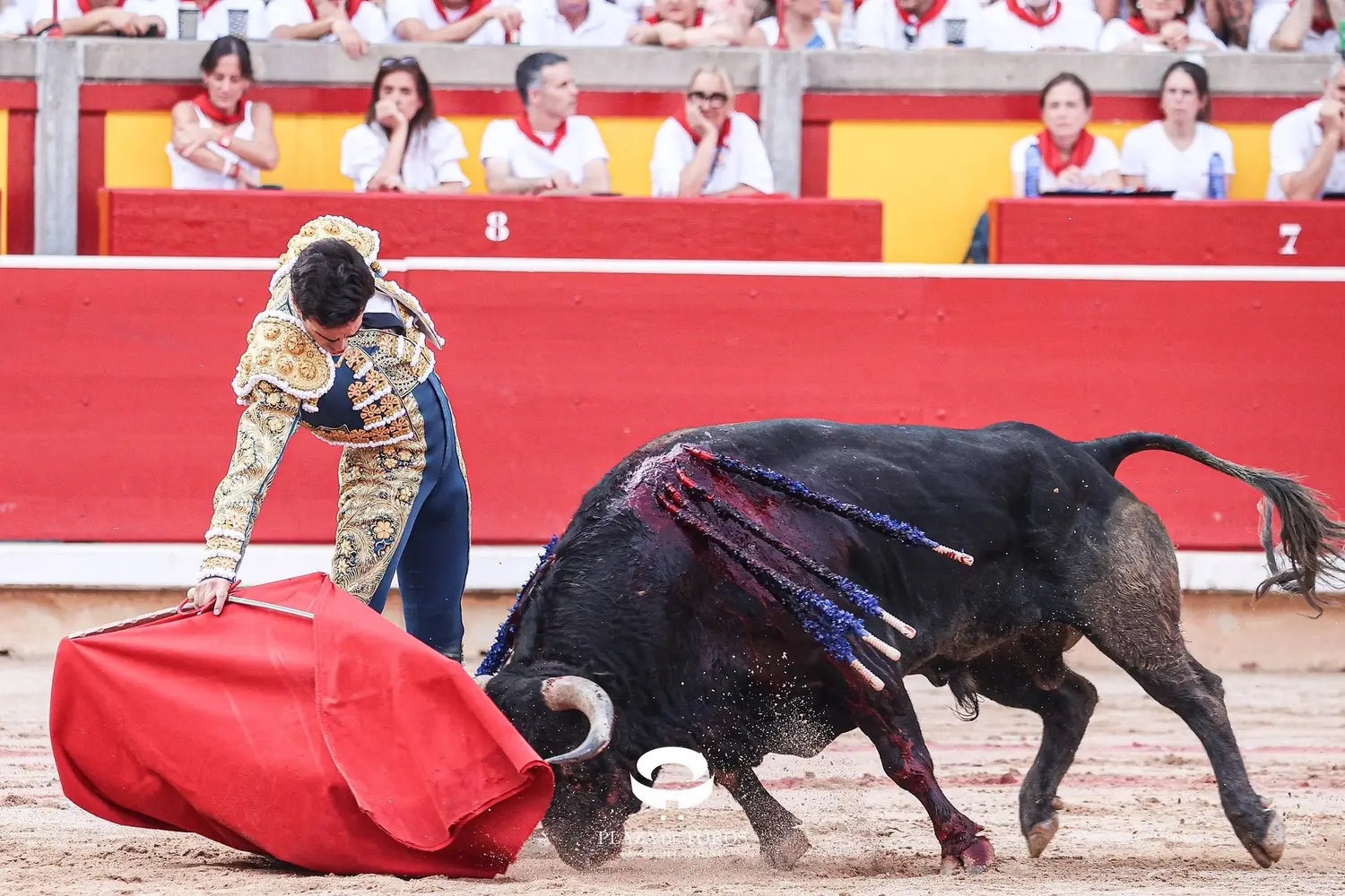 Imagen 8