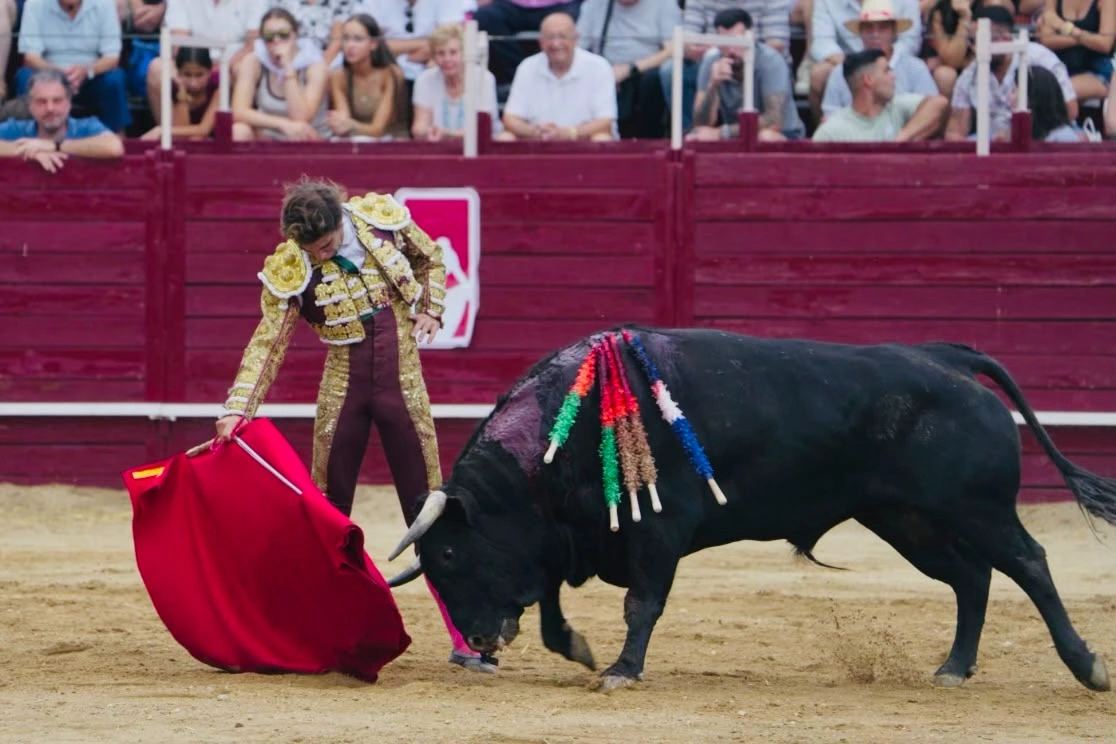 Imagen 1