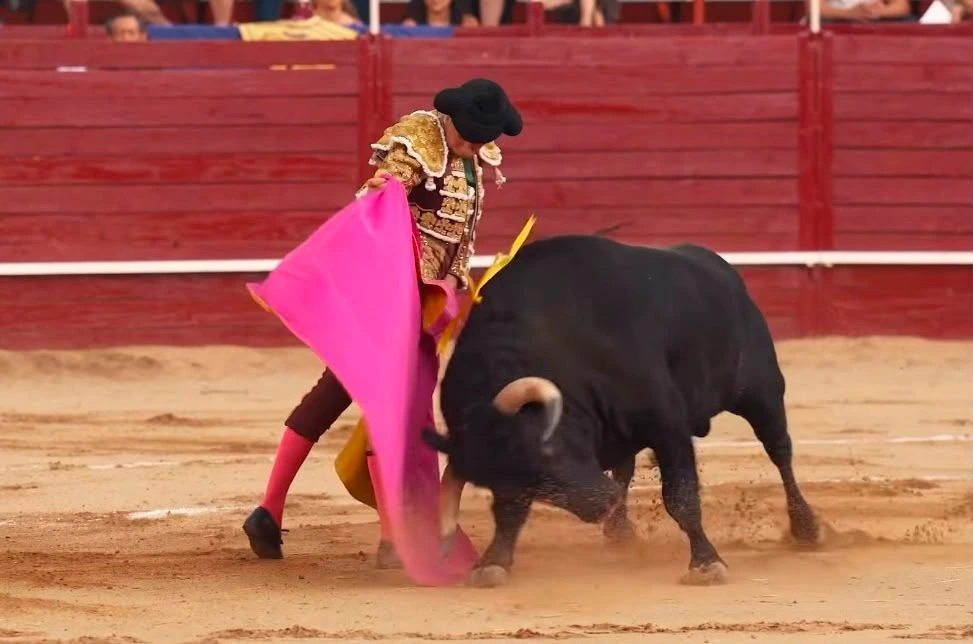 Imagen 2