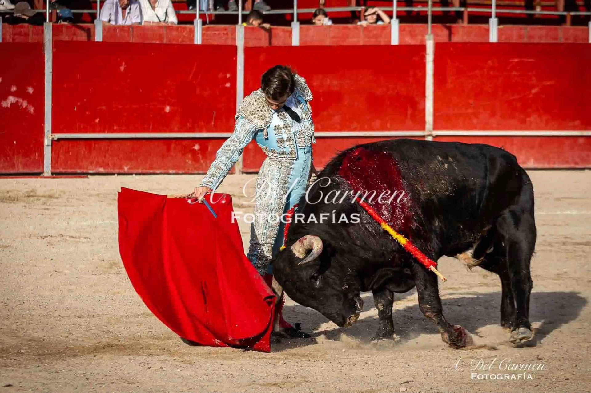 Imagen 3