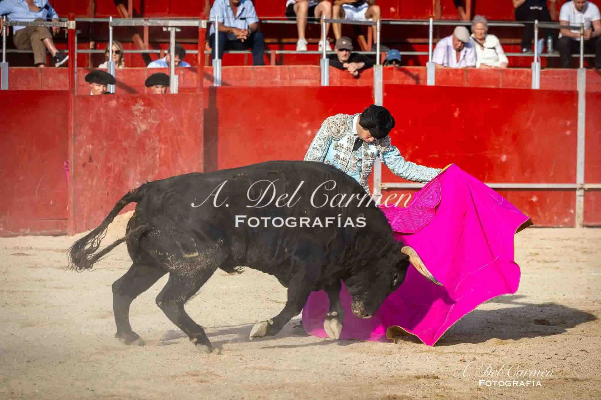 Imagen 4