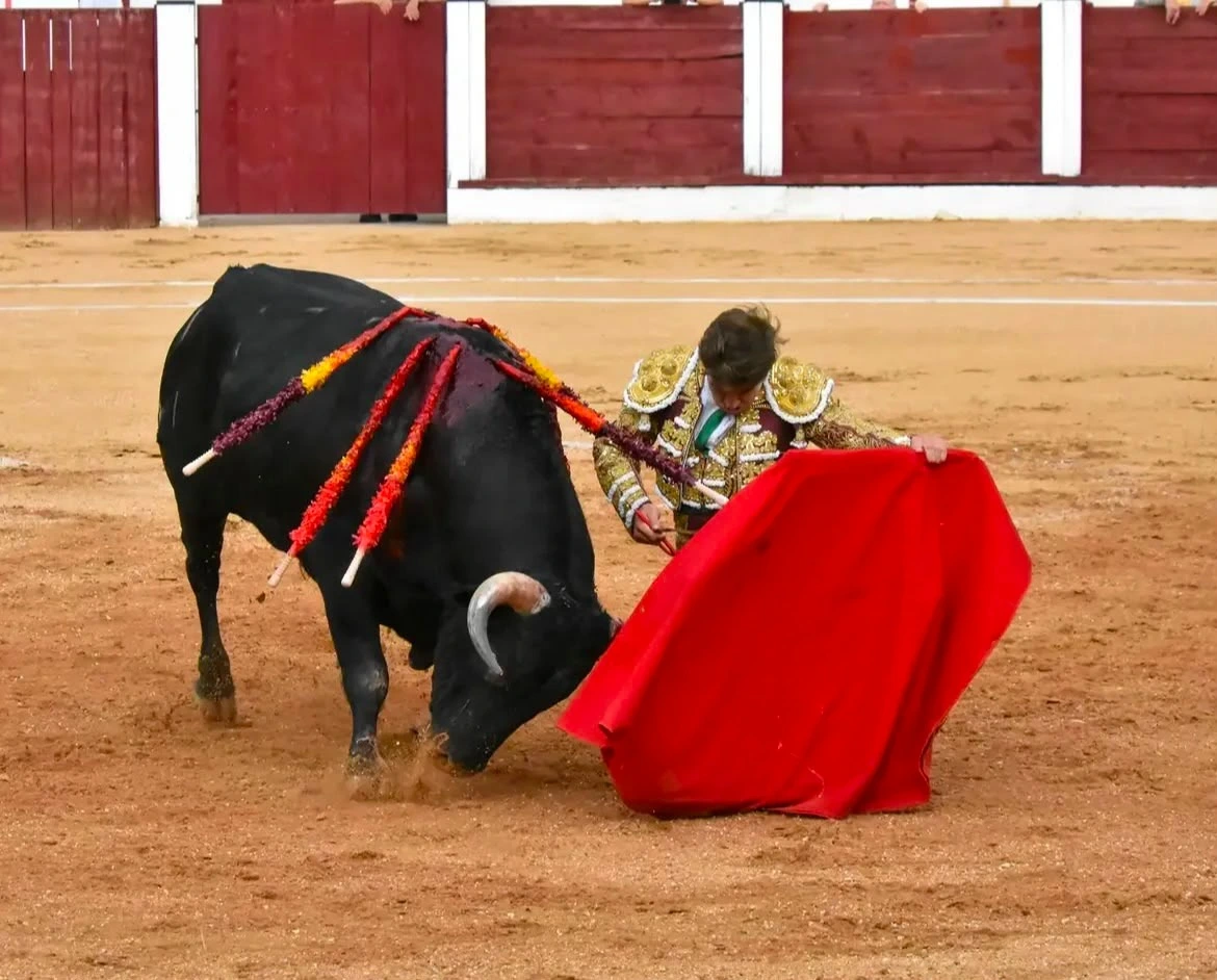 Imagen 5