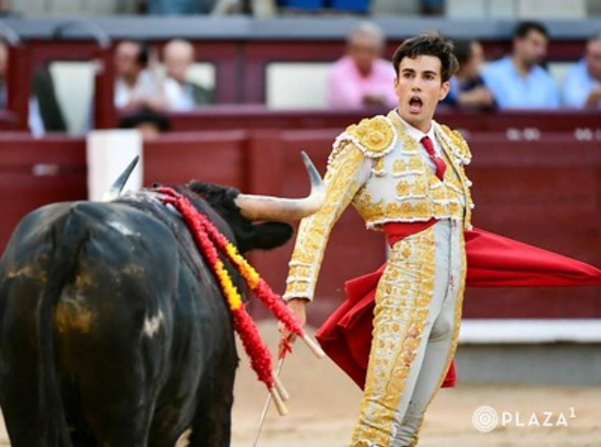 Imagen 1