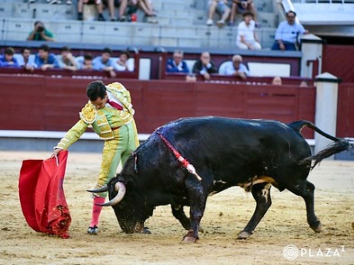 Imagen 2