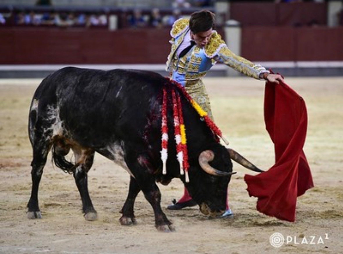 Imagen 3