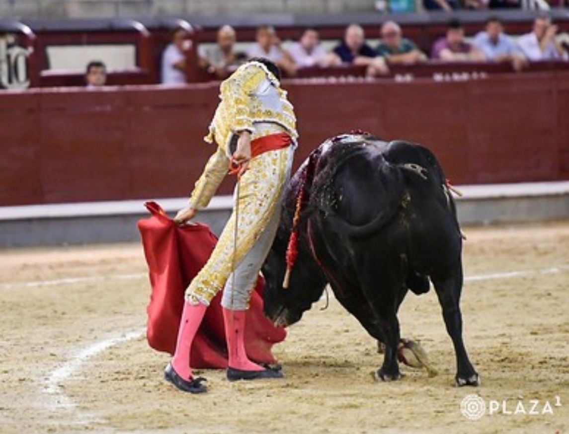 Imagen 4