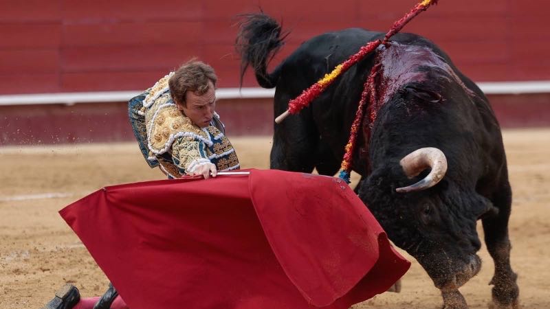 Román se consolida, Nek se revindica y Olga naufraga en una interesante tarde de toros, que no de novillos