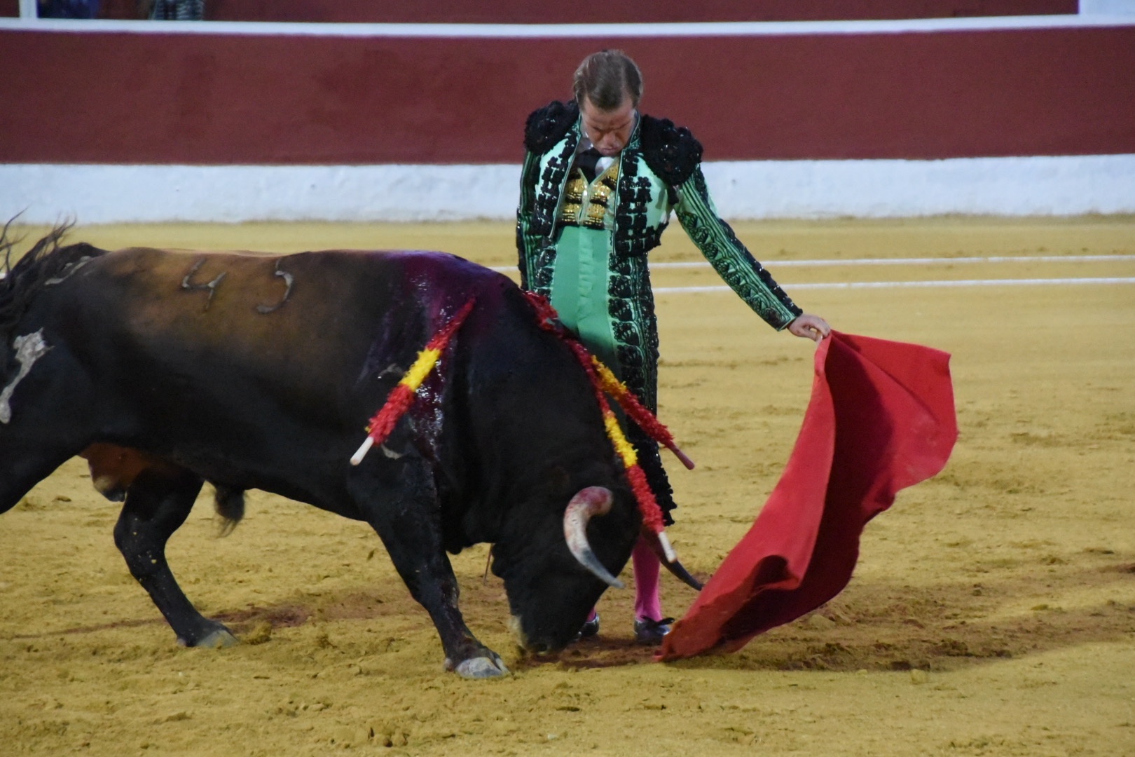 Imagen 1