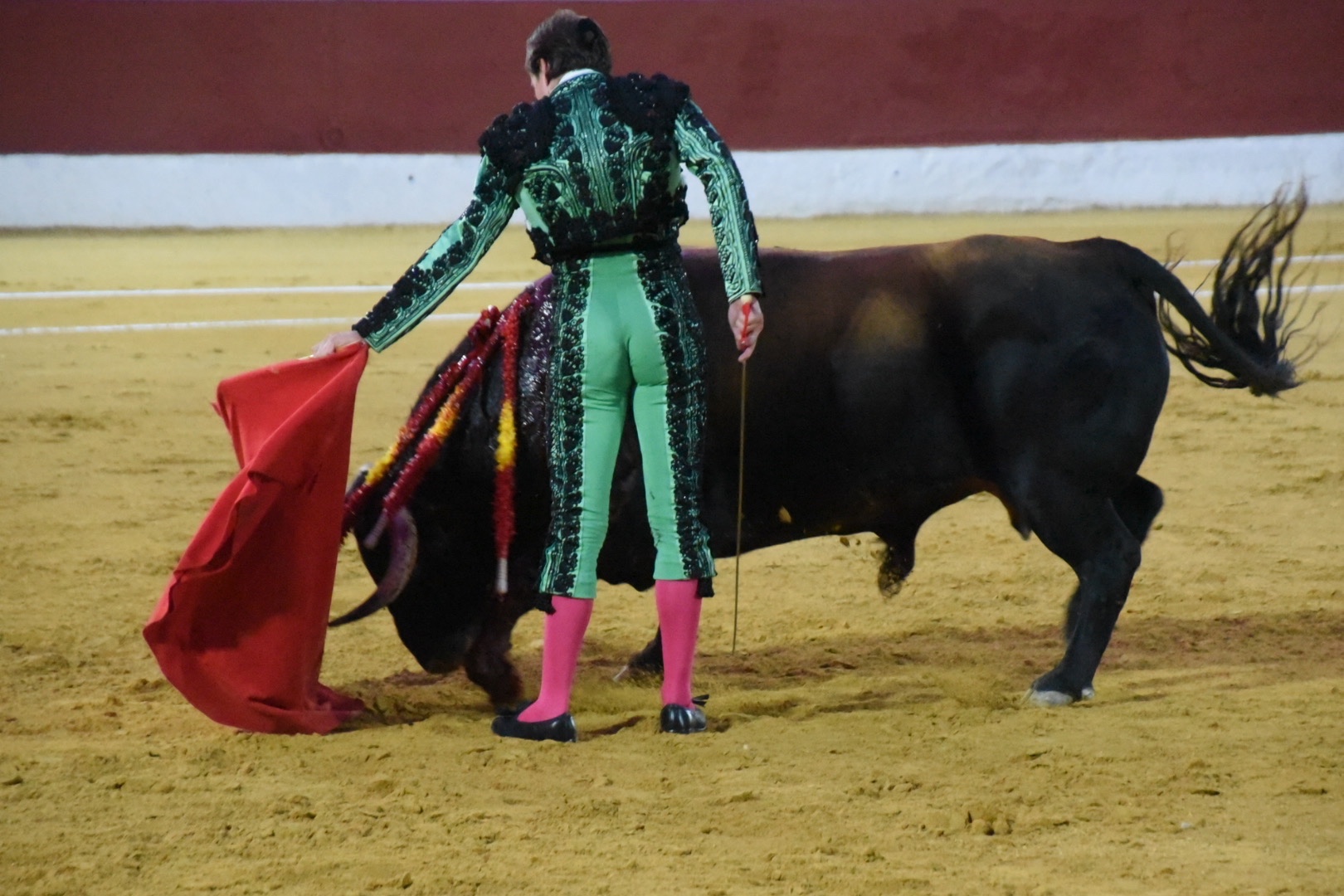 Imagen 2