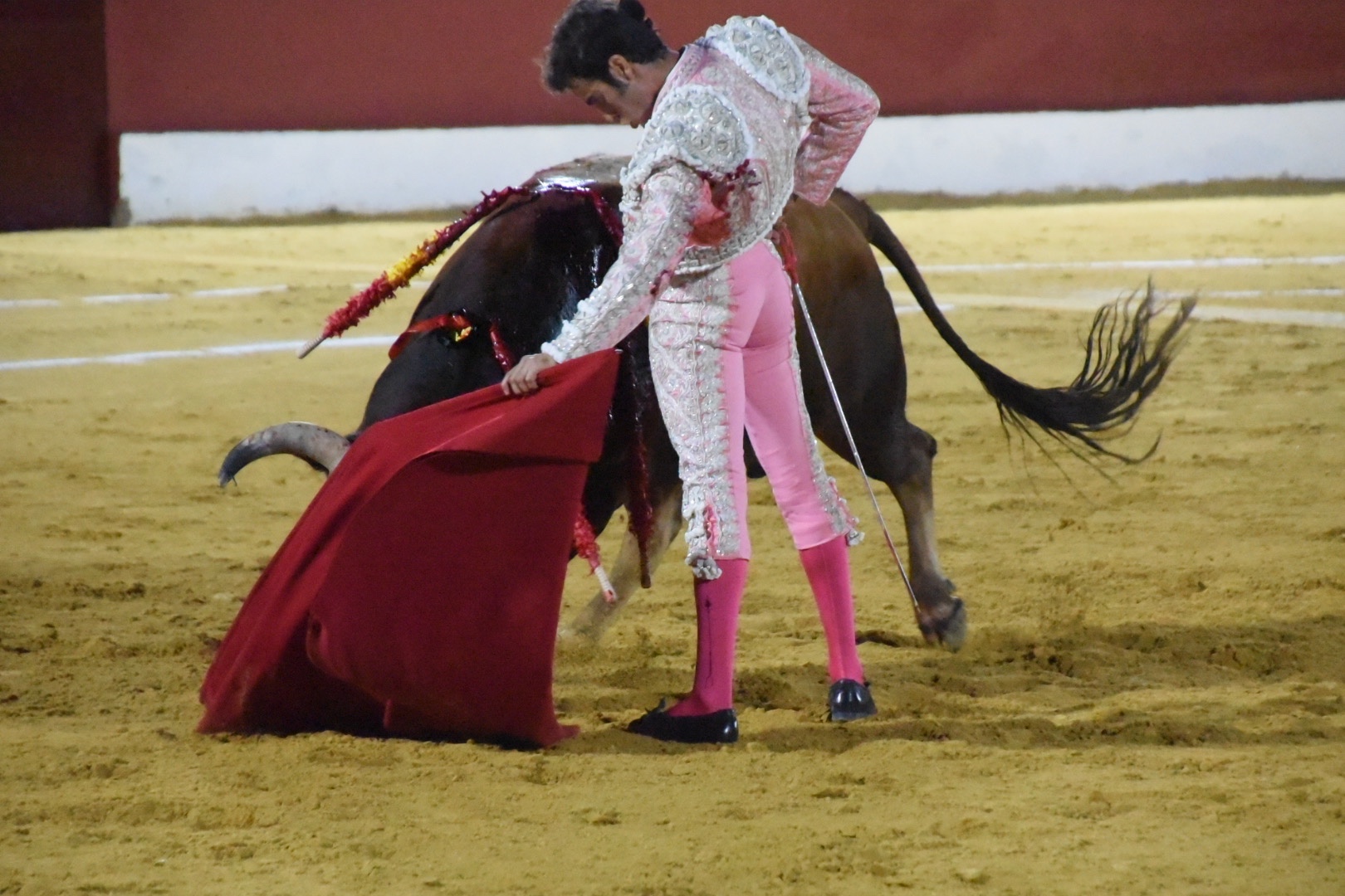 Imagen 4