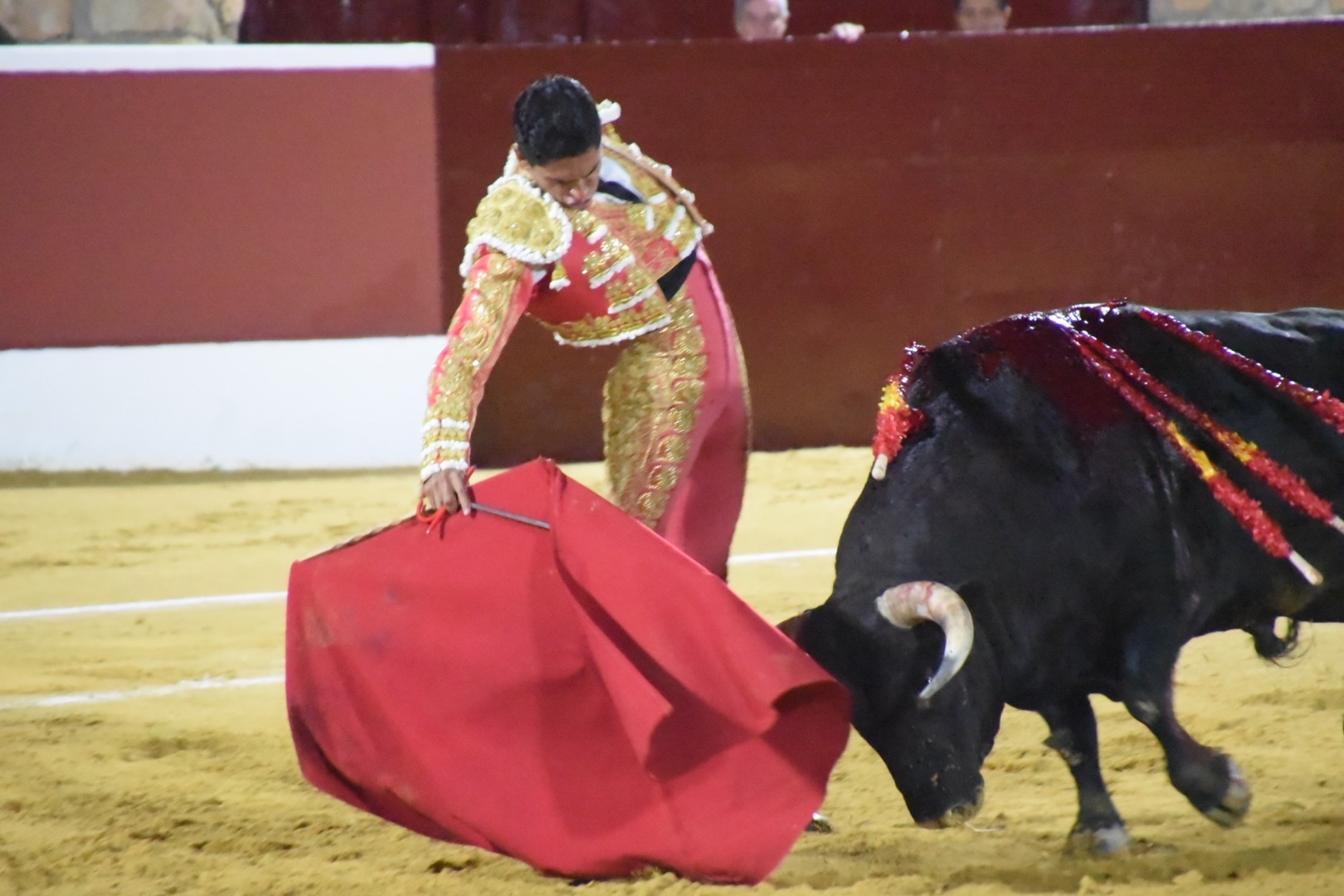 Imagen 6