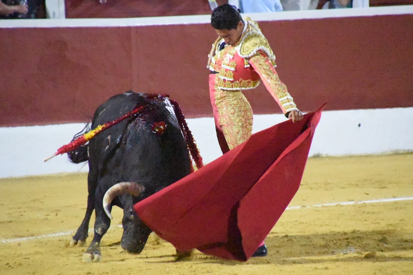 Imagen 7